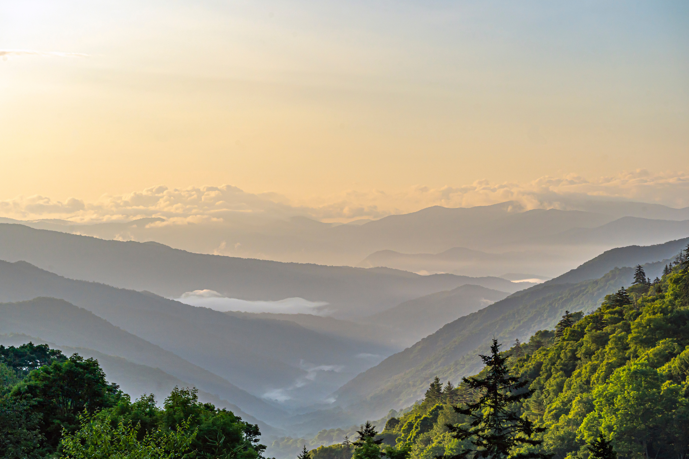 great smoky mountains national park, tennessee (3).webp